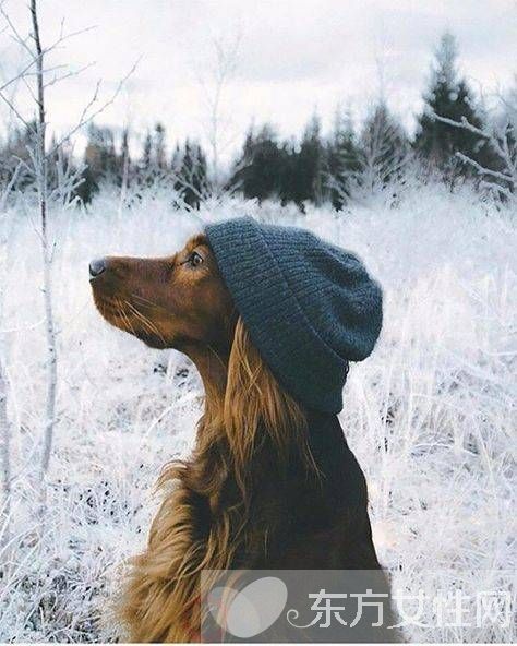 偏瘫患者饮食要注意哪些 该怎么预防及预后