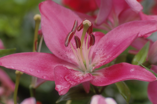 卵巢保养秘方有哪些 内外调养是关键