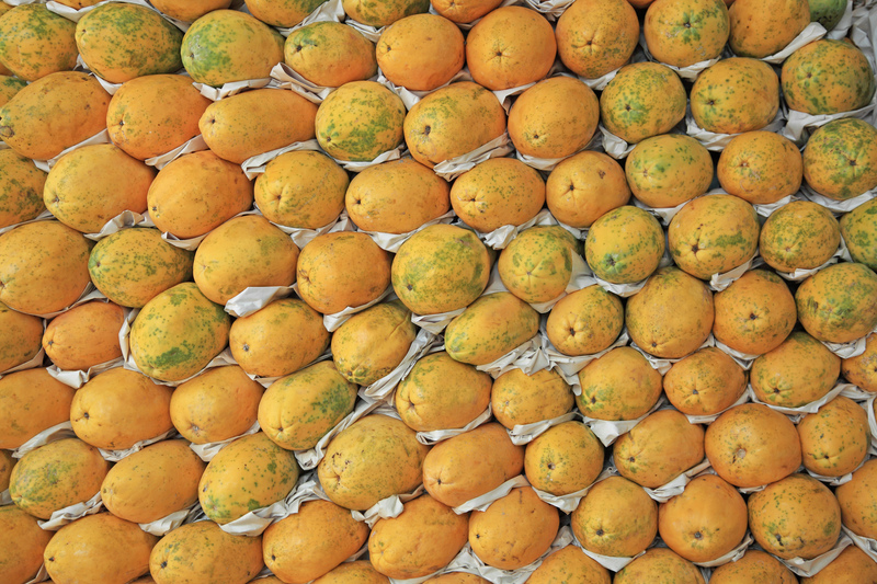 木瓜丰胸的最佳做法 有几种食疗做法