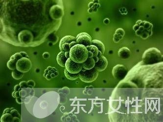 诱发病毒性疱疹的原因有哪些 疱疹病毒会传染吗