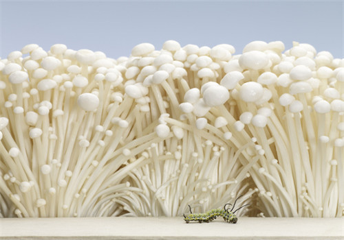 吃什么东西可以养胃 这些养胃小妙招千万别错过