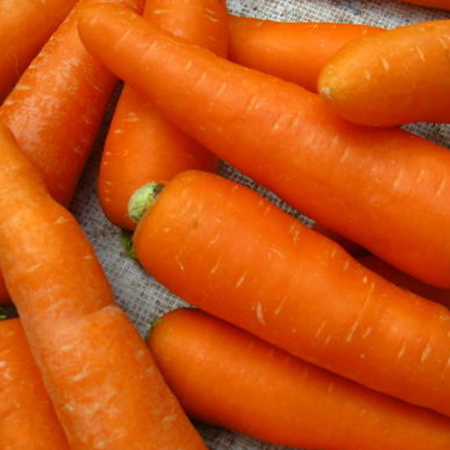 九大春季饮食养生小常识早知道