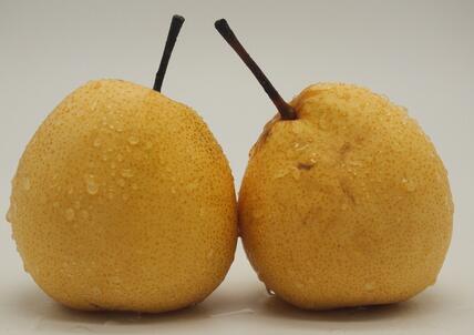 平常发烧吃什么好得快 这些水果帮你驱赶病魔