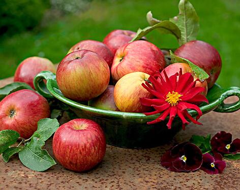 什么水果含糖低呢 专家分享含糖量最低的六大水果