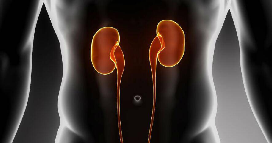 老中医的十种养肾方法 吃什么最养肾