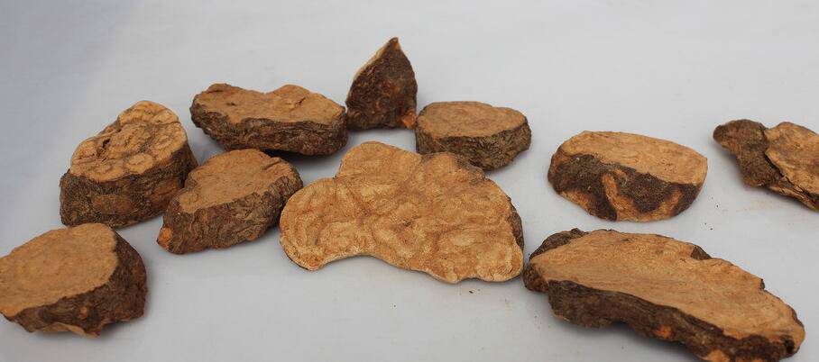 何首乌的功效与作用 它有哪些副作用