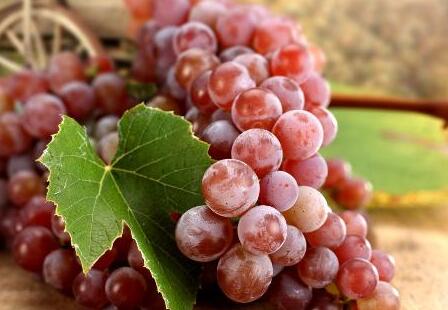 平常发烧吃什么好得快 这些水果帮你驱赶病魔