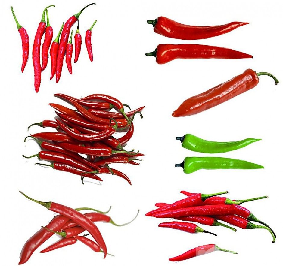 湿疹症状及治疗方法是什么 4要点教你如何预防