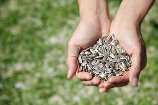 药补不如食补 选对食物让你浑身补个遍