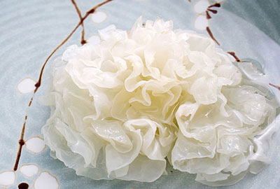 养生饮食是什么 揭秘8大养生食物