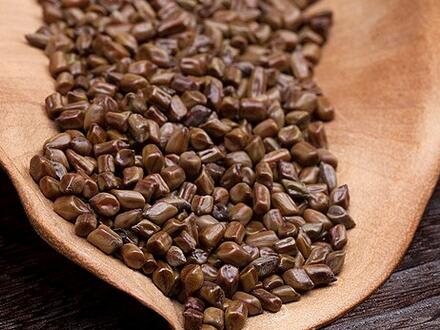 决明子的功效有哪些 决明子泡茶喝六大功效