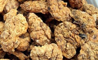 紫河车的功效与作用是什么 紫河车有什么好处