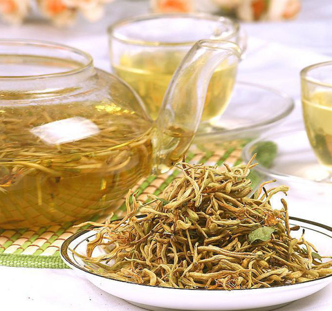 金银花并不都是好处 浅谈金银花的副作用