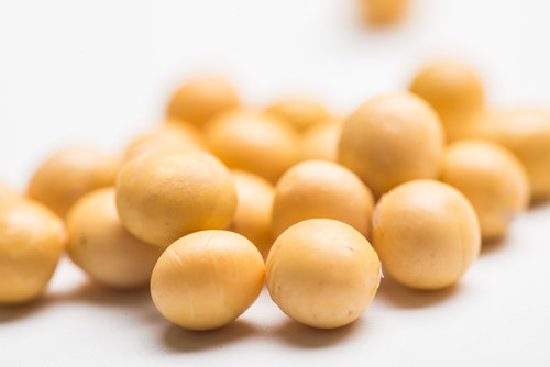 上班族日常养生保健法 吃对食物很关键