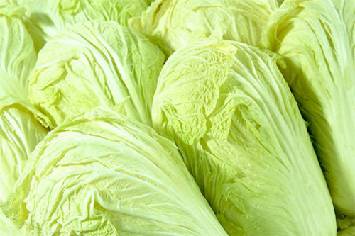 大暑吃什么最消暑 盘点7种夏季消暑食物