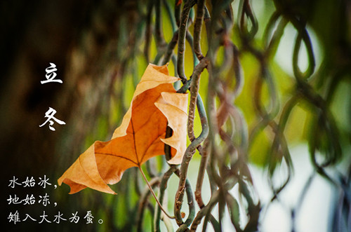 立冬进补攻略 立冬吃什么才养生