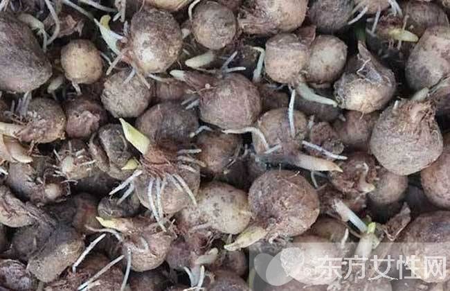 牛皮癣偏方大全 快get好