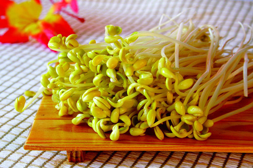 春天吃什么养生 绝不可错过的8种食物