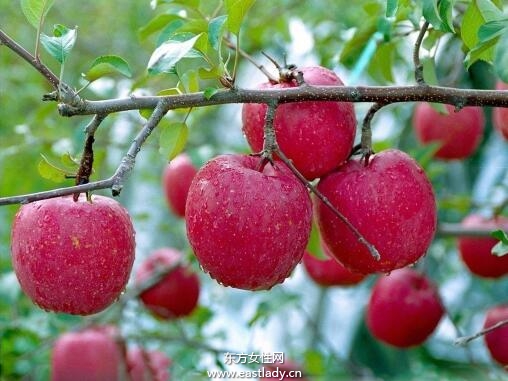 细数含糖量低的水果 它们都有什么丰富的营养价值