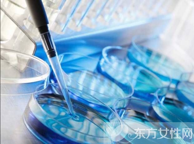 肾炎的早期症状有哪些 这些食疗偏方很管用哦