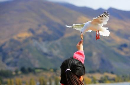 中医治疗肝病的方法 肝病潜行危害大