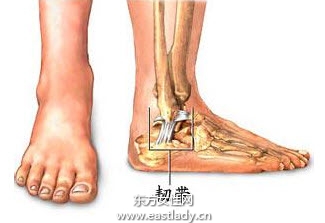 韧带损伤应该注意哪些饮食 四个方法教你如何正确做好防护