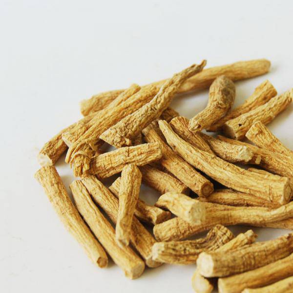 西洋参泡水的功效虽好 但以下禁忌需注意