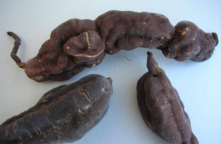 何首乌的功效及作用 何首乌怎么吃最好