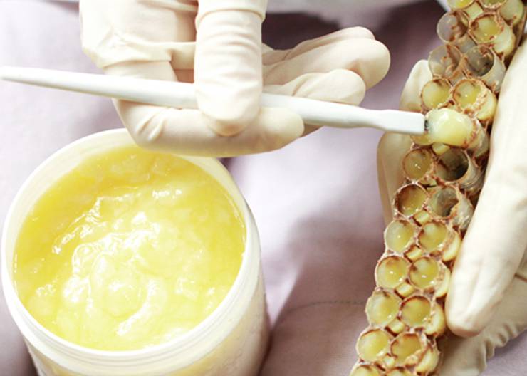 蜂王浆怎么吃最好 蜂王浆的禁忌人群有哪些