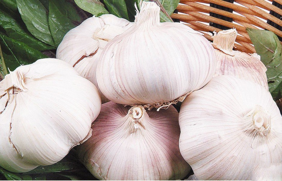 感冒拉肚子偏方一吃就好 比吃药打针更好的效果