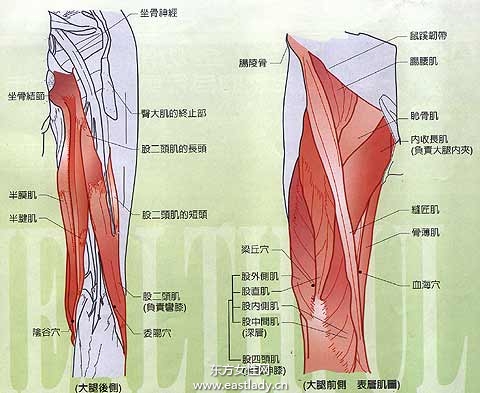 韧带损伤应该注意哪些饮食 四个方法教你如何正确做好防护