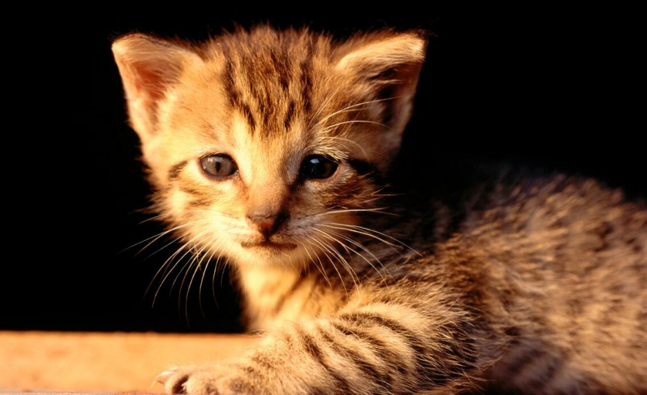 链球菌感染的不同表现 什么会导致链球菌感染