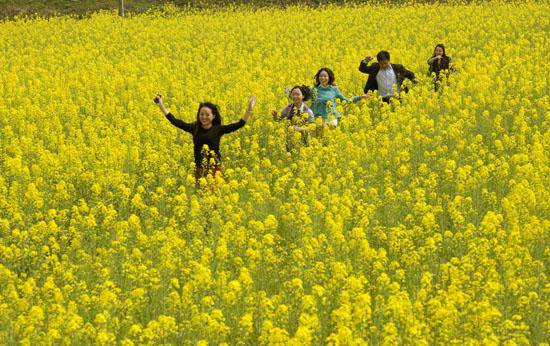 养生食疗之春天喝这三种汤不感冒