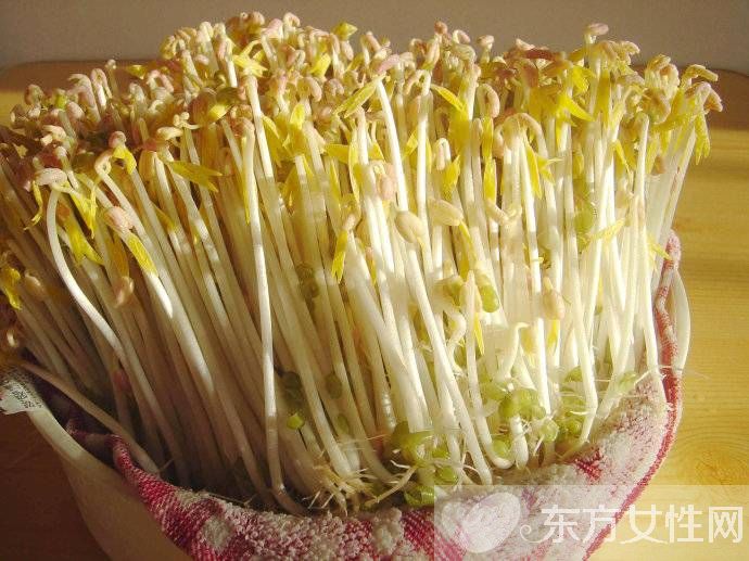 如何治疗高血脂症 这些食物效果比药好上千万倍哦