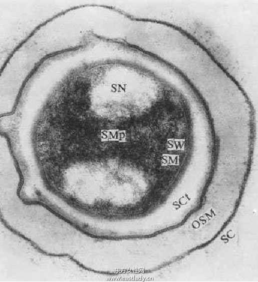 神经官能症能治愈吗 神经官能症治疗方法