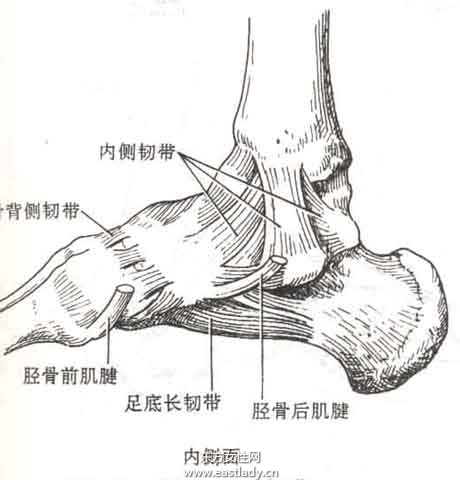 韧带损伤应该注意哪些饮食 四个方法教你如何正确做好防护