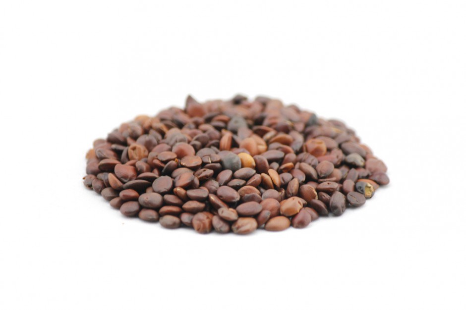 酸枣仁的副作用是什么 教你酸枣仁5大正确吃法