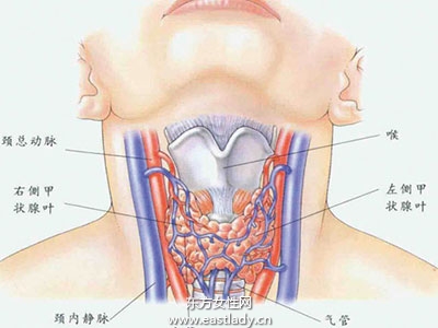 神经官能症能治愈吗 神经官能症治疗方法