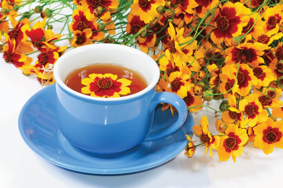 喝菊花茶有什么好处 五类人群切忌喝菊花茶