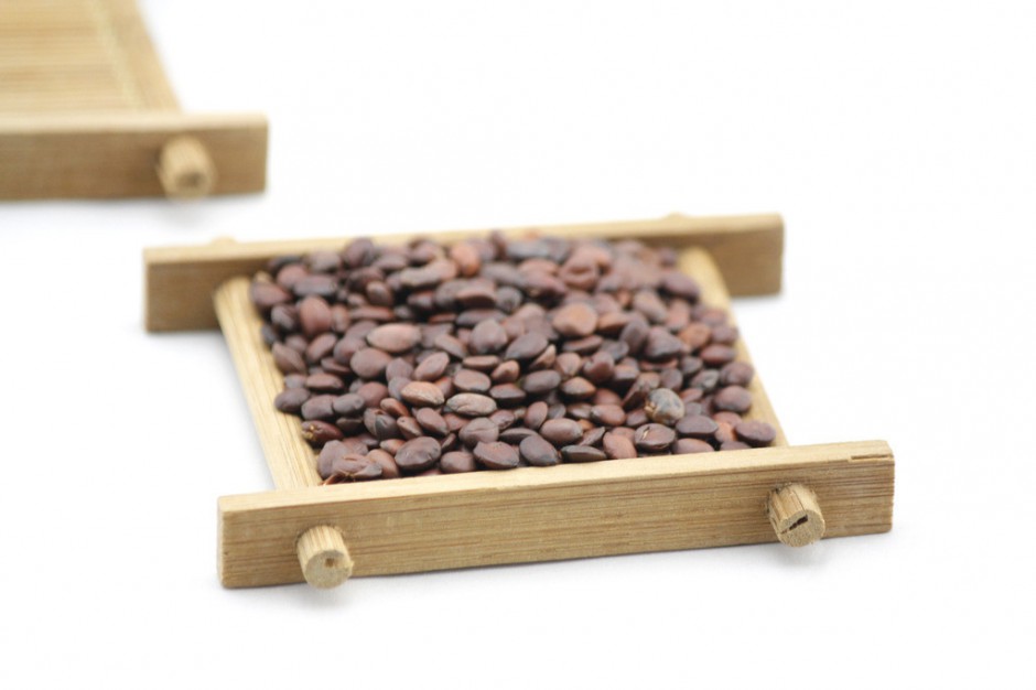 酸枣仁的副作用是什么 教你酸枣仁5大正确吃法