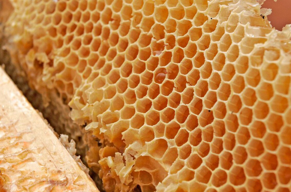 蜂王浆怎么吃最好 蜂王浆的禁忌人群有哪些