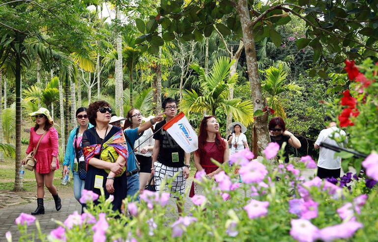 养生食疗之春天喝这三种汤不感冒