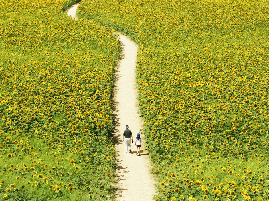 中医治疗肝病的方法 肝病潜行危害大