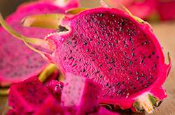 这些你要知道 吃火龙果有好处也有坏处