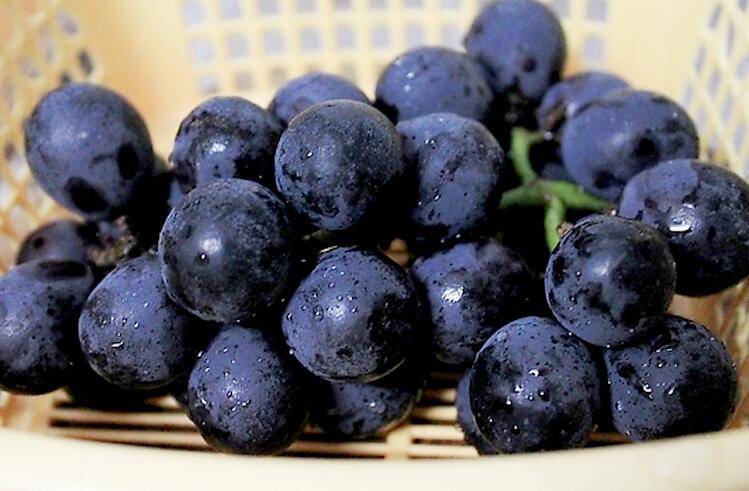 吃什么可以补肾 肾不好的症状表现