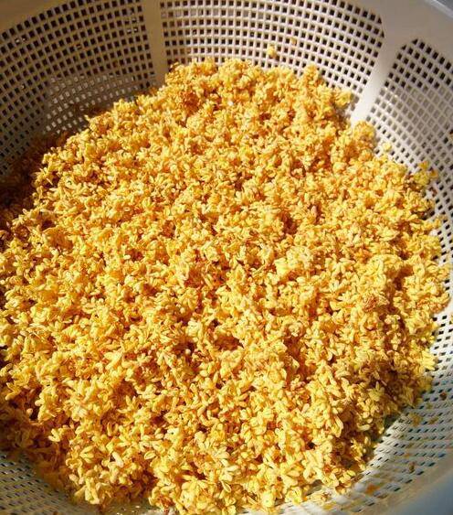 桂花蜜的制作方法 揭示桂花蜜有哪些功效