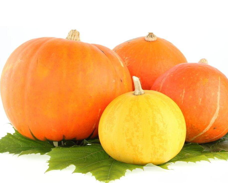 南瓜营养价值高 揭你不知道的南瓜粥做法