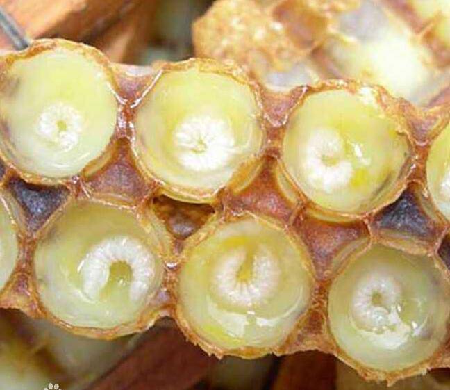 蜂王浆怎么吃最好 蜂王浆的禁忌人群有哪些