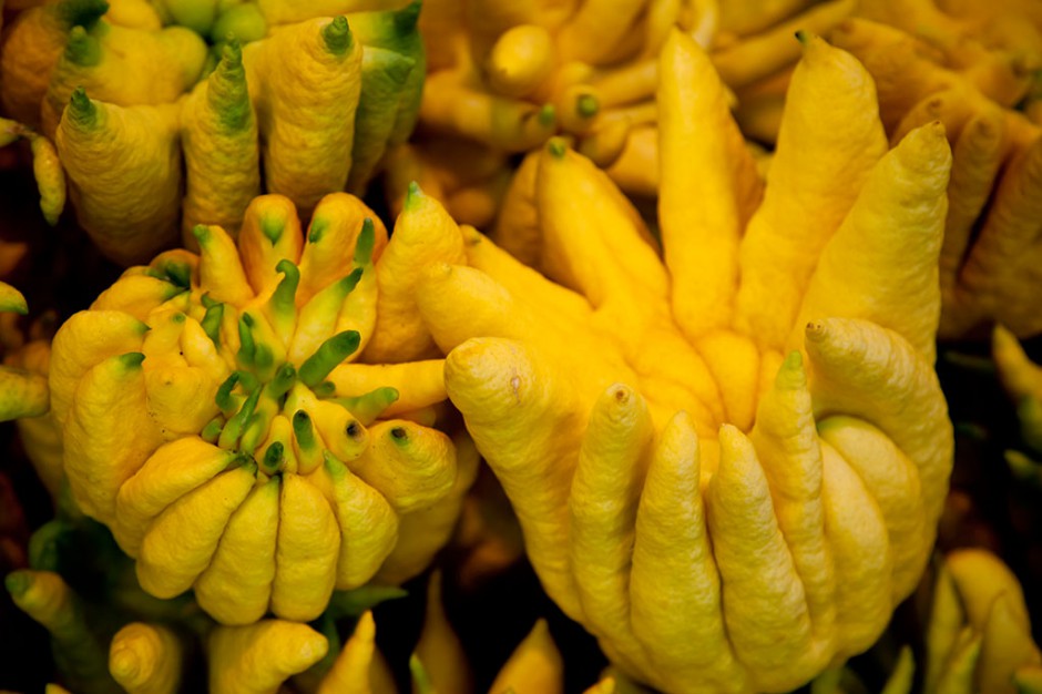 疱疹的最佳治疗方法 食疗也可治疱疹