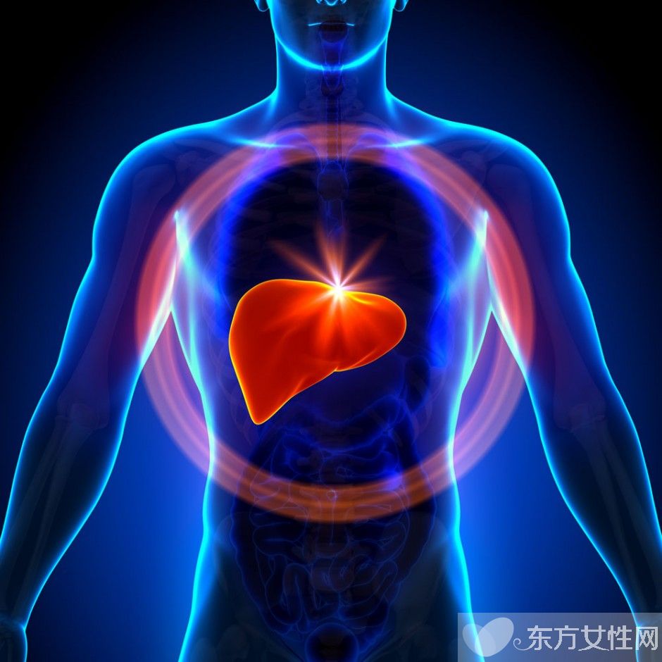 乙肝知识普及 乙肝病毒携带者是乙肝吗